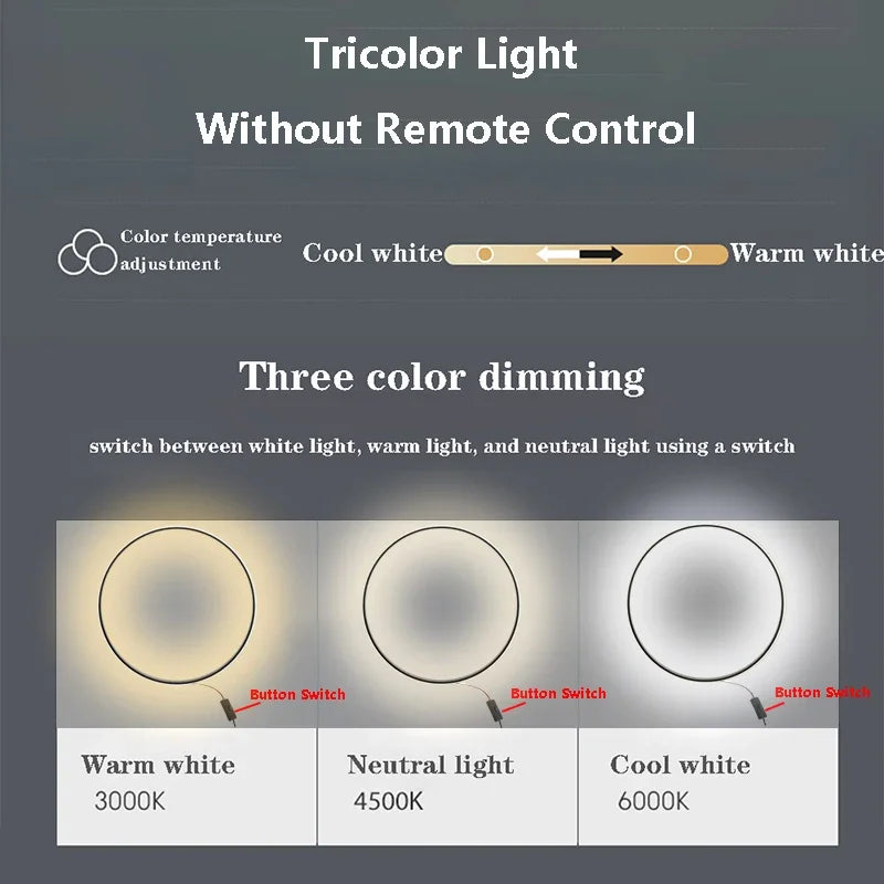 Modern LED Wall Lamp 80cm Three Color Lamp Large Circular Home Decoration Wall Lamp Bedroom Living Room Indoor Lighting Fixture