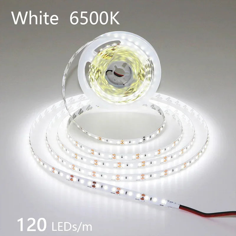 12V 24V LED Strip 2835 120LEDs/m Home Lamp Strip Pink Red Ice Blue Green Golden Yellow Orange Flexible Waterproof Soft Lamp Bar