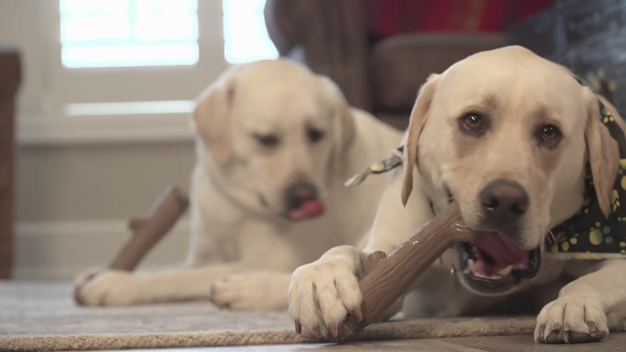 Caitec Durable Chew Bone